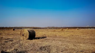 Kakadu Casino Farsímaforrit